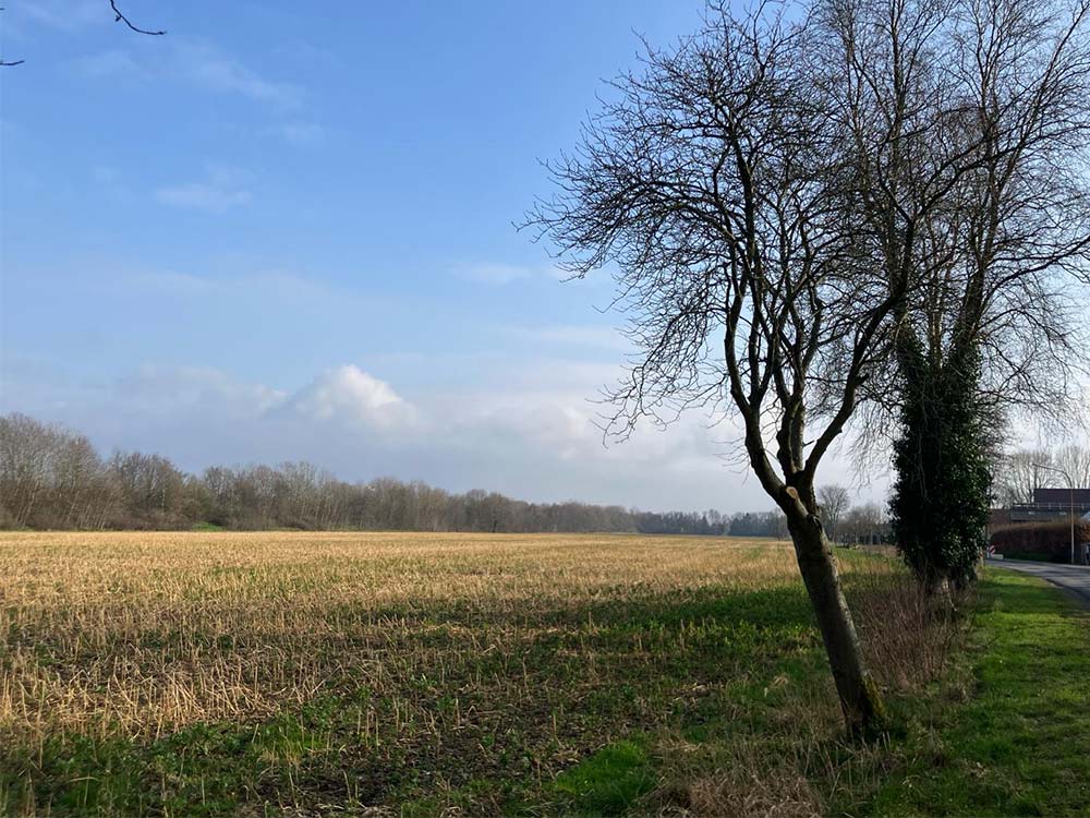 Hybrid-Projekt Rüherfeld